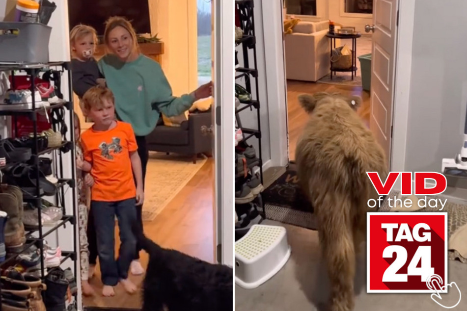 Today's Viral Video of the Day features a man who surprised his wife with her favorite animal!