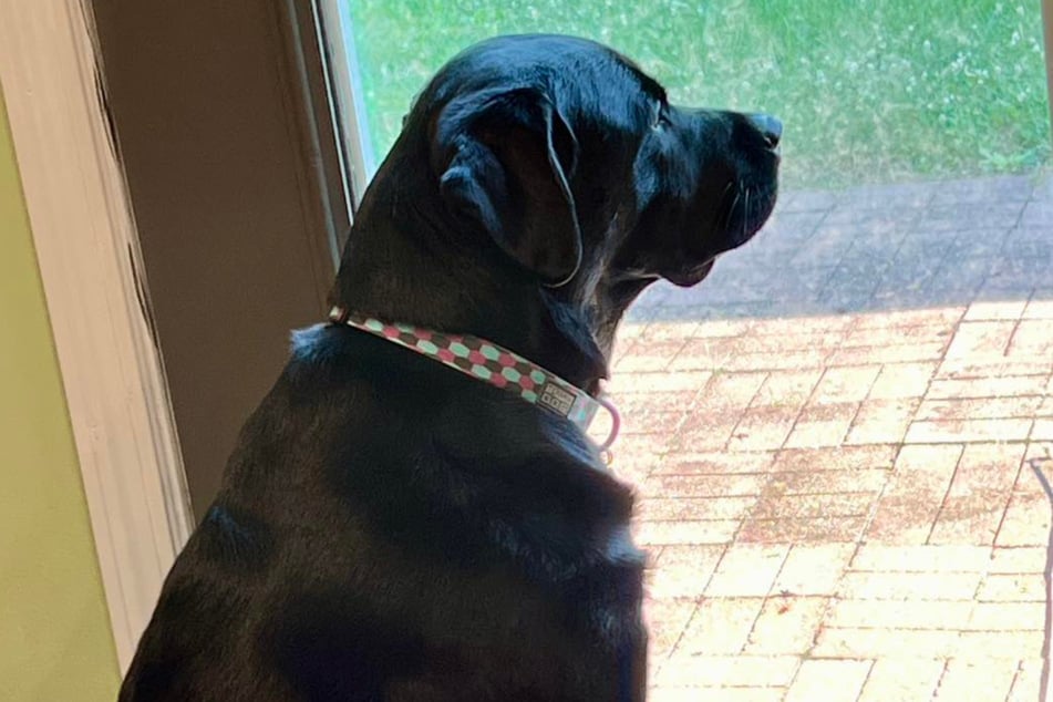 Molly passte nach acht Jahren plötzlich nicht mehr in ihre Familie.