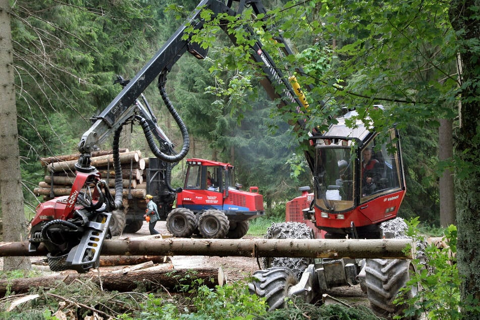 Im Revier Carlsfeld des Staatsforstes Eibenstock werden mit schwerer Forsttechnik Bruchholzstämme aus dem Wald transportiert, um größeren Befall durch den Borkenkäfer zu vermeiden.