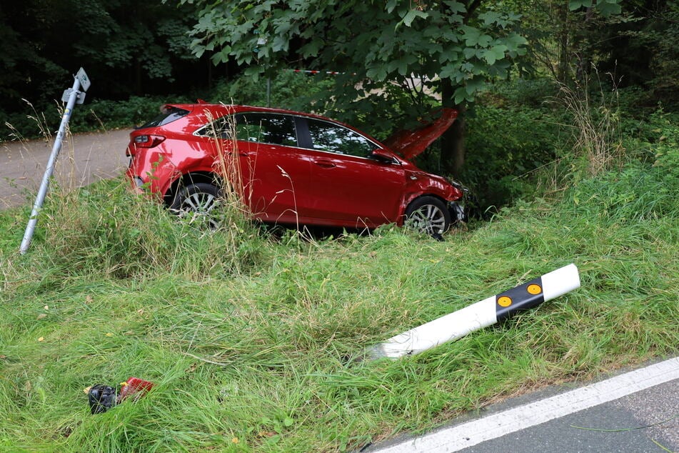 Der Kia kam im Wald zum Liegen.
