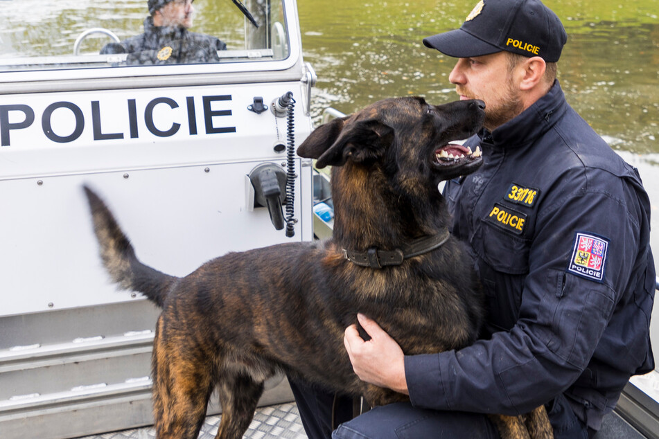 Schäferhund Butch (2,5) mit Hundeführer Jan (45) auf dem Boot der Wasserschutzpolizei.