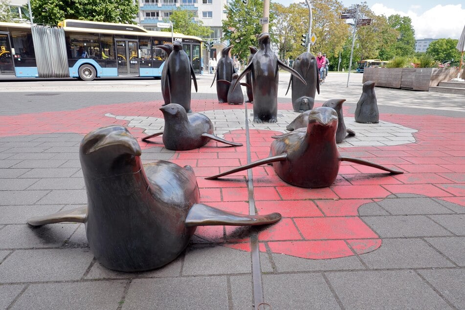 Jeder Chemnitzer kennt sie: Seit 2004 stehen 14 Pinguine an der Inneren Klosterstraße vorm "Brazil".