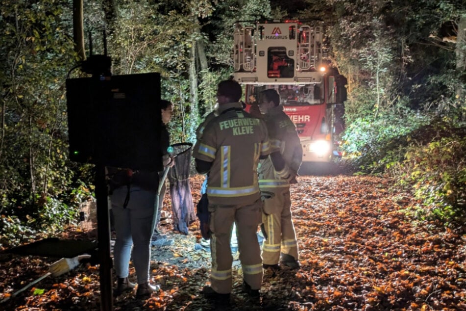 Der Tierpark bat die Feuerwehr Kleve um Unterstützung bei der Rettung des ausgebüxten Vierbeiners.