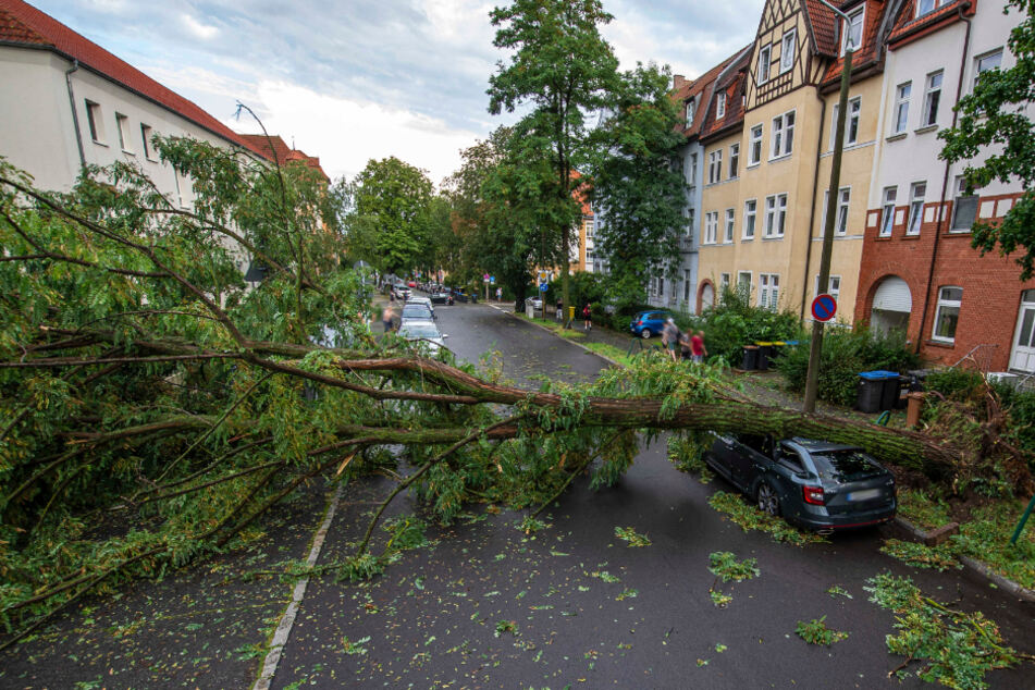 Thüringens Landeshauptstadt wurde mit voller Wucht vom Unwetter erwischt.