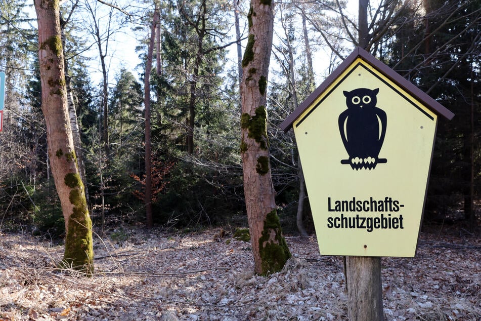 Mehrere Landschaftsschutzgebiete in Sachsen würden den neuesten Plänen zum Opfer fallen.