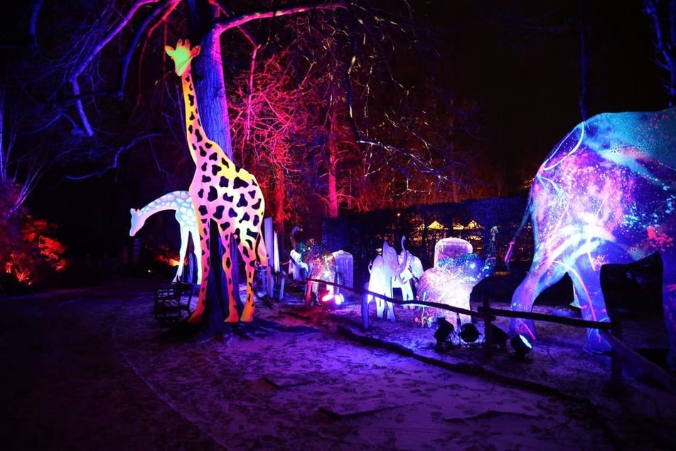 Mit 17 bis 19 Euro ist der Preis für Erwachsene nicht ganz günstig.