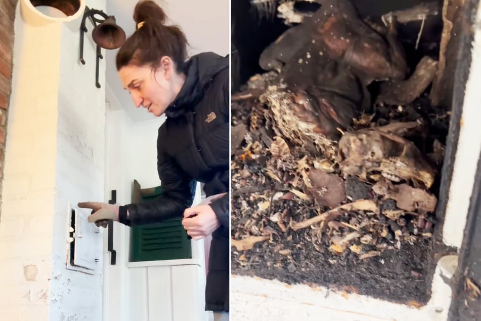 Zpěvačka Sara Bareilles (46) se chtěla dozvědět, co se skrývá za malými dveřmi v její venkovské chalupě. To, co tam najde, je odpudivé.