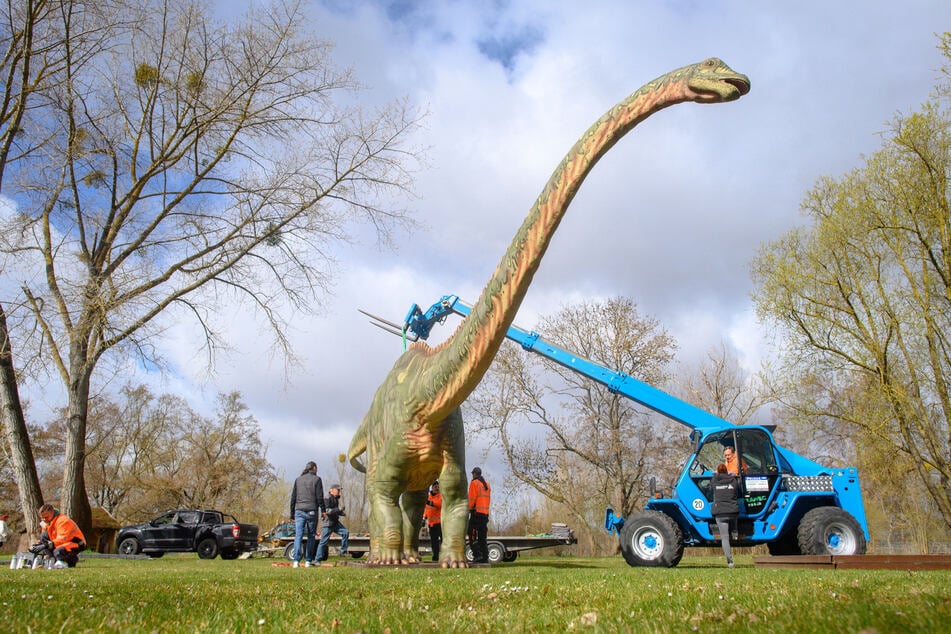 Im Elbauenpark warten 30 lebensgroße Dinosaurier-Modelle auf Euch.