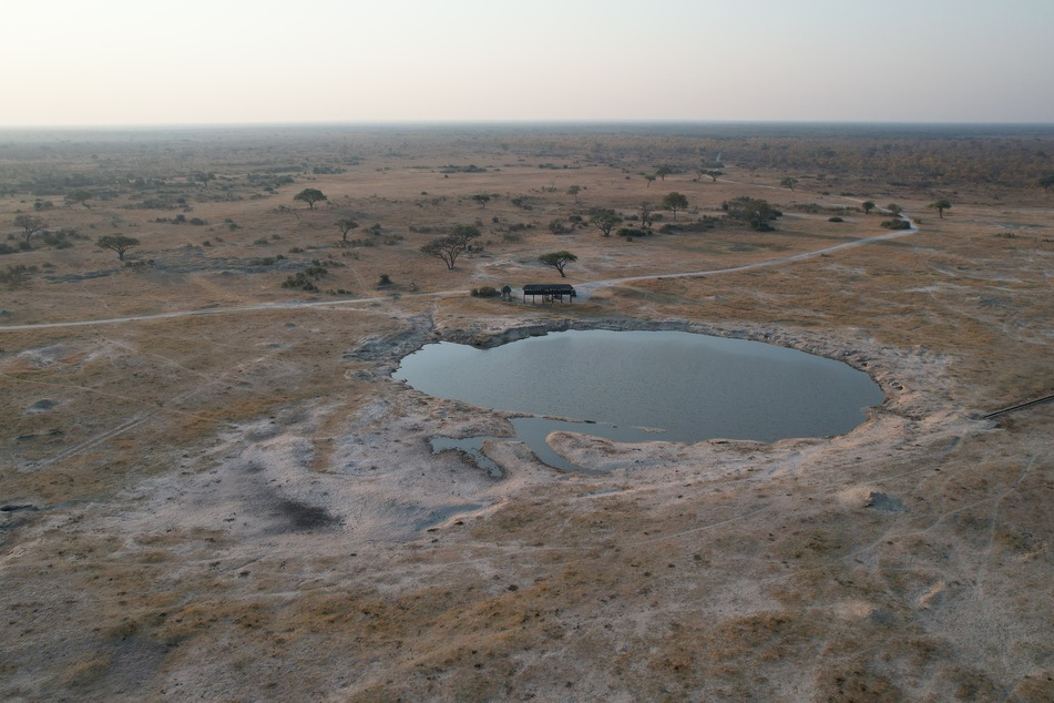Im Hwange-Nationalpark sollen mehrere Wasserquellen ausgetrocknet seien, die die Tiere zum Überleben brauchen.