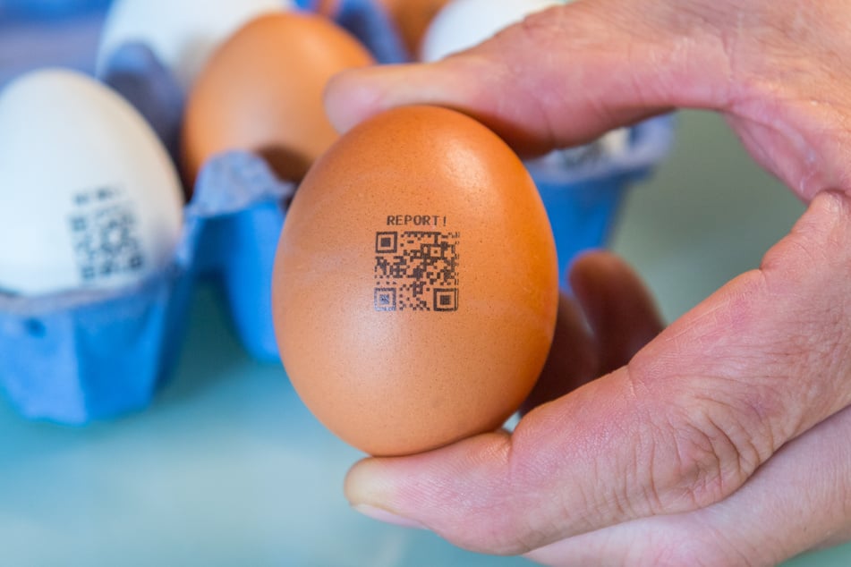 Die herkömmlichen Eier werden mit QR-Codes bedruckt, hinter denen sich Werbebotschaften verbergen.