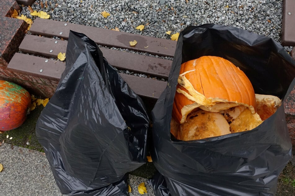 Zertreten und zertrampelt - In Heidenau herrscht Entsetzen und Enttäuschung über die Zerstörungswut.