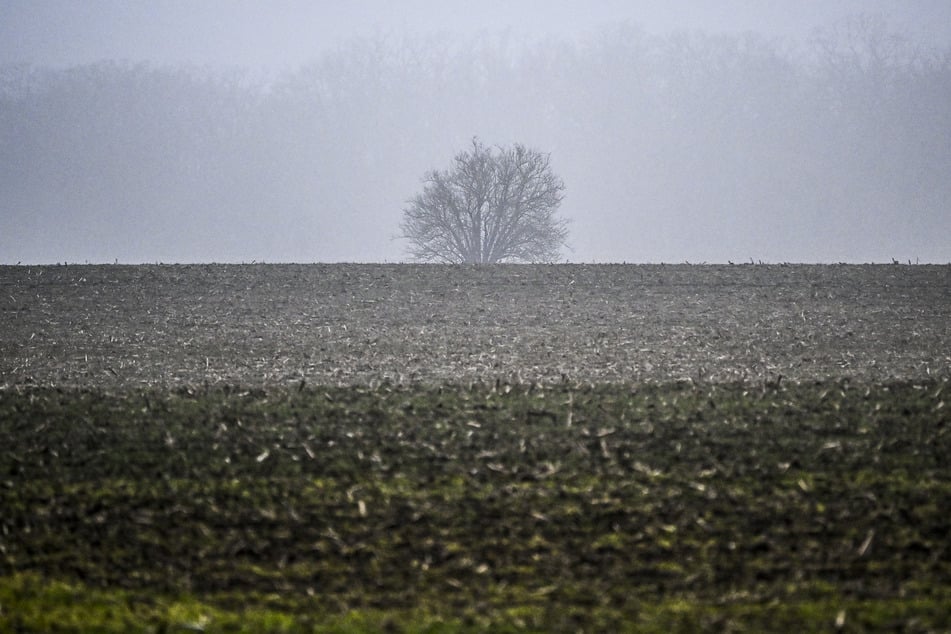 Am Wochenende sollte man sich in Sachsen auf trübe Verhältnisse einstellen.