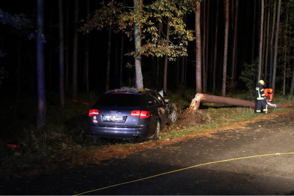 Feuerwehrleute zersägten im Zuge der Bergungsmaßnahmen den Baum.