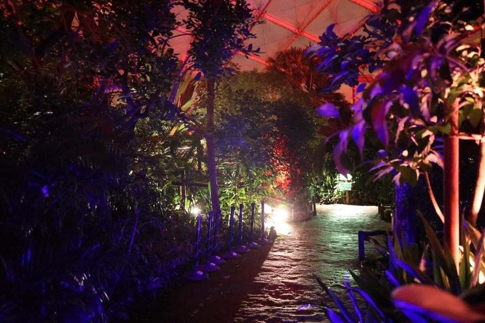 Das beleuchtete Gondwanaland ist nur eines der Highlights. (Archivfoto)