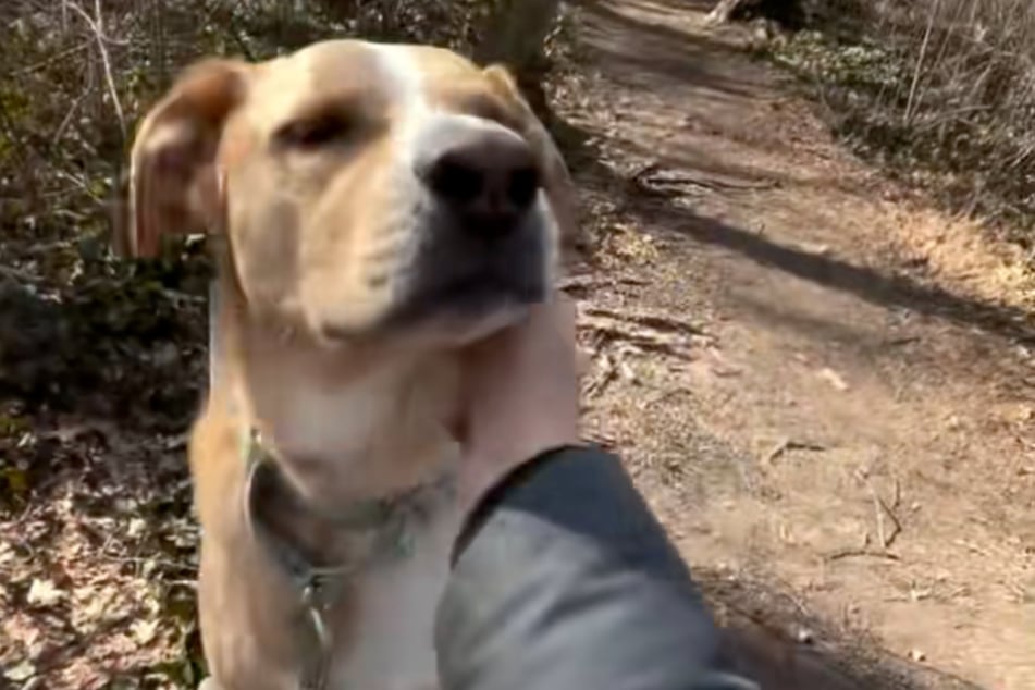 Dexter muss weiterhin auf ein Happy End warten.