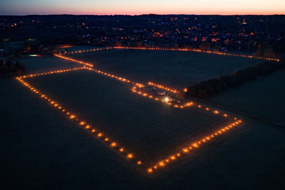 Wein in Flammen! Warum macht Wackerbarth das mit seinen Reben?