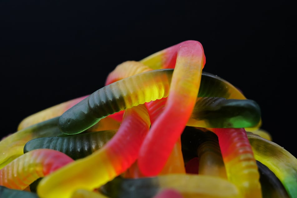 Hündin Scooter hatte 1,1 Kilogramm Gummiwürmer verschlungen. (Symbolfoto)