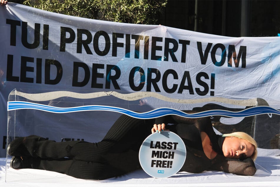 Im Oktober 2024 hat Sarah Connor in einer gemeinsamen Aktion mit PETA gegen die Geschäftspraktiken von TUI protestiert.