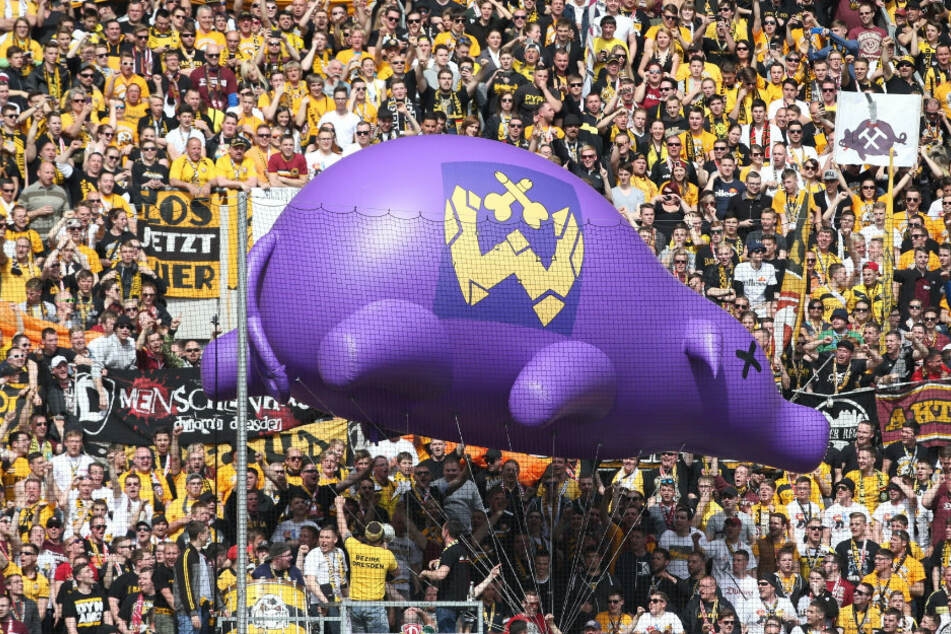 Schon legendär: Am 30. April 2016 schwebte beim Sachsenderby gegen Aue das lila Schwein durchs Harbig-Stadion. Jetzt können Fans mit dem Borstenvieh virtuell Gassi gehen.
