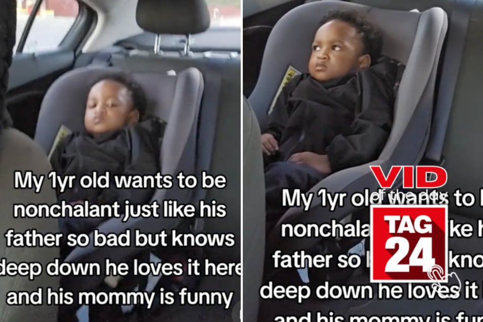 viral videos: Viral Video of the Day for December 20, 2024: Toddler's serious face hilariously melts as mom sings in viral TikTok!