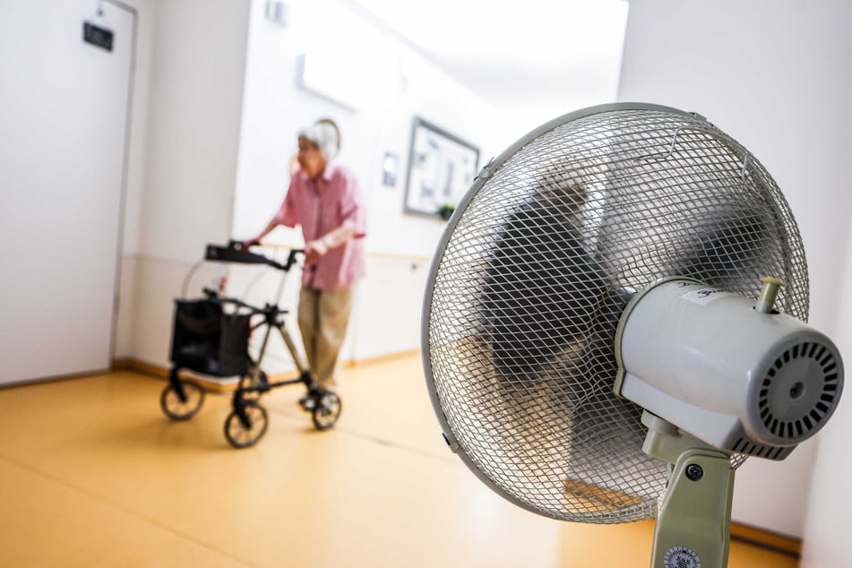 Hohe Temperaturen gehen oft mit mehr Sterbefällen einher.