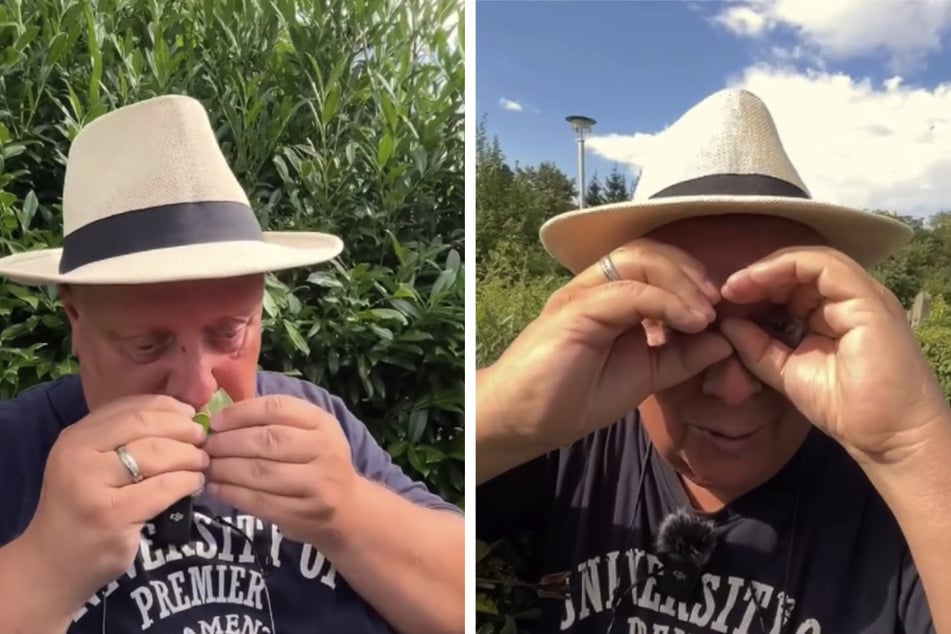 Michael Baumann (62) hat seinen Kleingarten bestens im Griff.