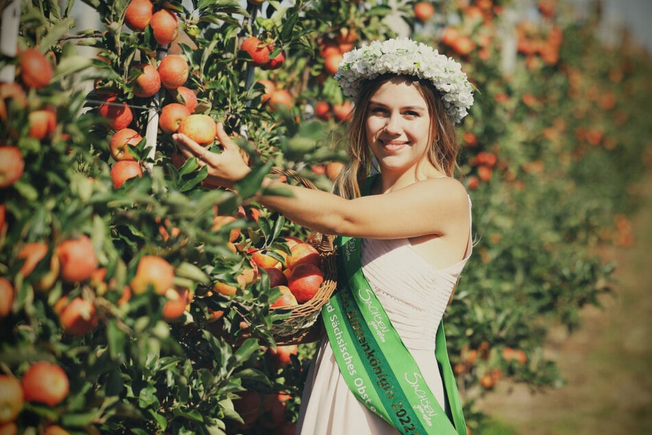 Sachsens Blütenkönigin Helena Ohnsorge (22) vertritt auch die Interessen des Obstbaugebietes im benachbarten Sachsen-Anhalt.