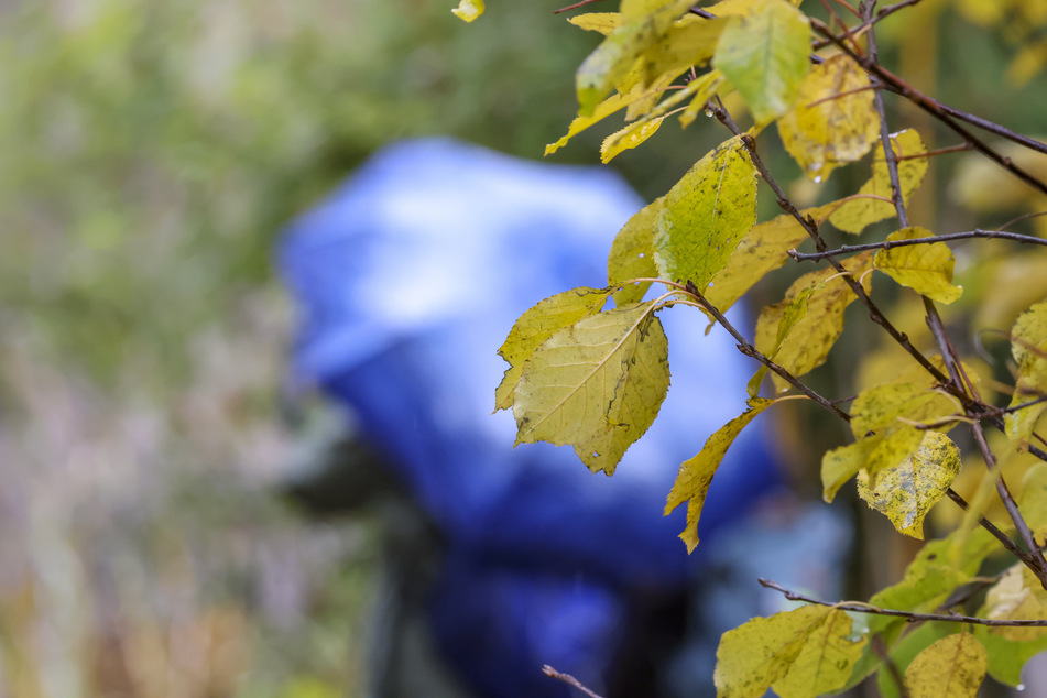 Kuschelwetter zum Wochenstart in NRW: nass, kalt und stürmisch!