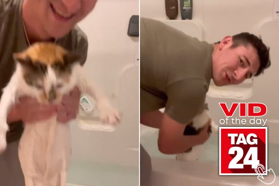 Today's Viral Video of the Day features a boy who gave his girlfriend's cat a bath after it got poop on its butt!