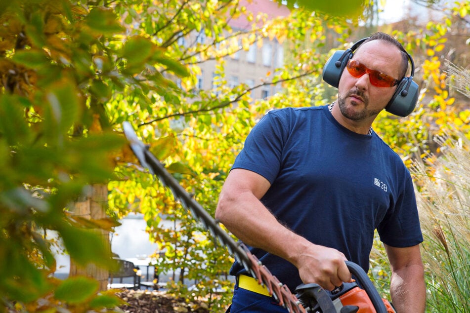 Fachkräfte kümmern sich um Grünanlagen, schneiden Hecken und pflegen Außenflächen, damit der erste Eindruck schon vor der Tür stimmt.