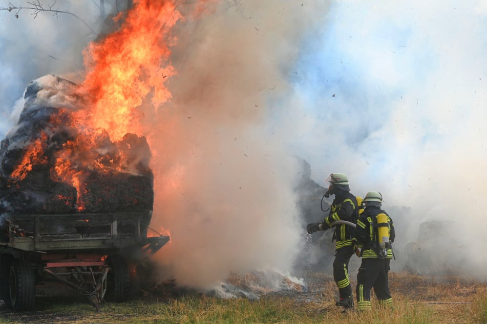 Feuerwehr kämpft gegen Flammen im Wald: Mann erleidet Verbrennungen am Kopf