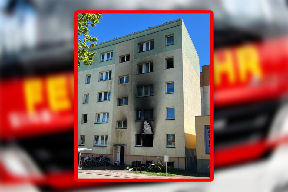 Bei dem Wohnungsbrand kamen mehrere Haustiere ums Leben.