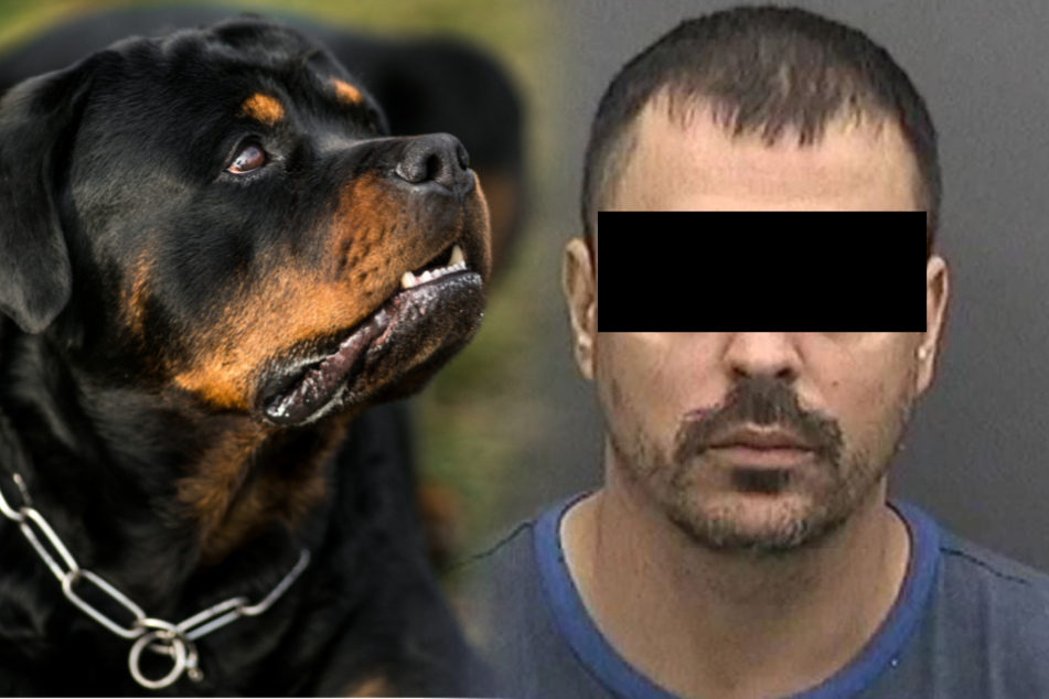 Grausame Falle: Was das Opfer mit dem Hund des Täters tun muss, ist schockierend
