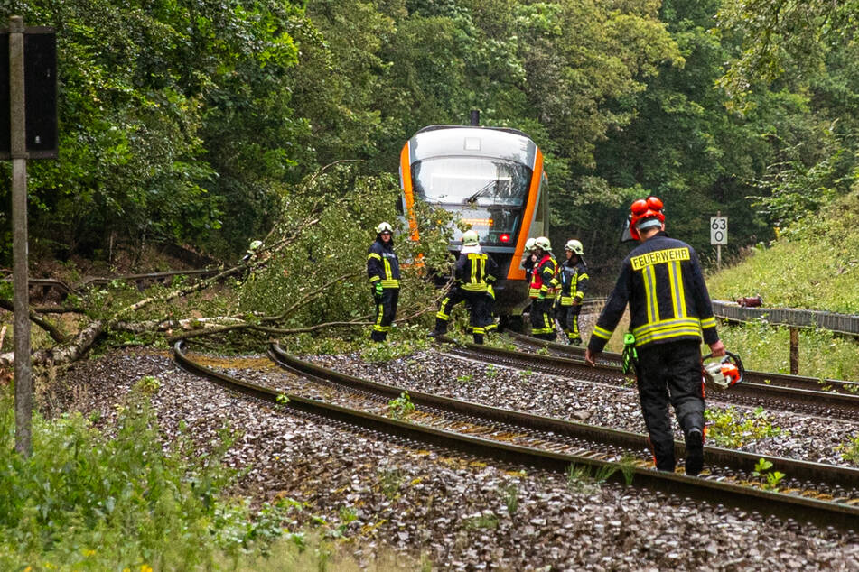 In Kynitzsch (Gemeinde Schönbrunn/Lausitz) fielen Äste auf die Gleise. Die Regionalbahn kam nciht weiter.