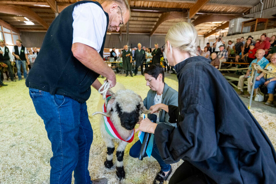 Am 21. August nahm die 50-Jährige an den Schaftagen des Schafzuchtverbandes in Nordrhein-Westfalen teil.