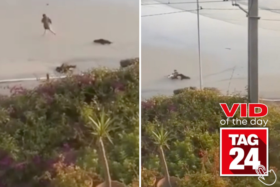 Today's Viral Video of the Day features an unlucky woman at the beach who managed to get chased down by a sea lion on the shore!