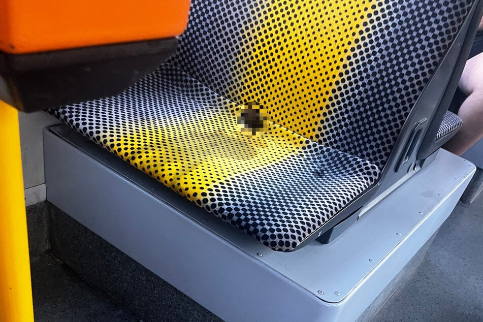 In einer Dresdner Straßenbahn hat sich offenbar ein Fahrgast entleert.