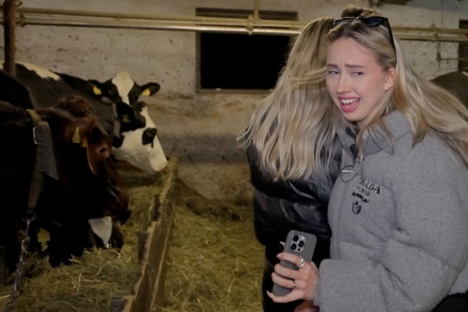 Die Geissens: "Pipi kommt aus dem Arschloch": Davina und Shania Geiss im "Erziehungscamp" völlig überfordert