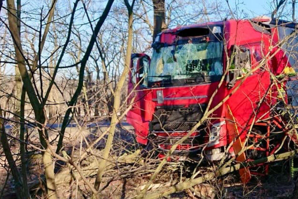 Schwerer Crash auf B187: Laster-Fahrer verliert Kontrolle und landet im Wald