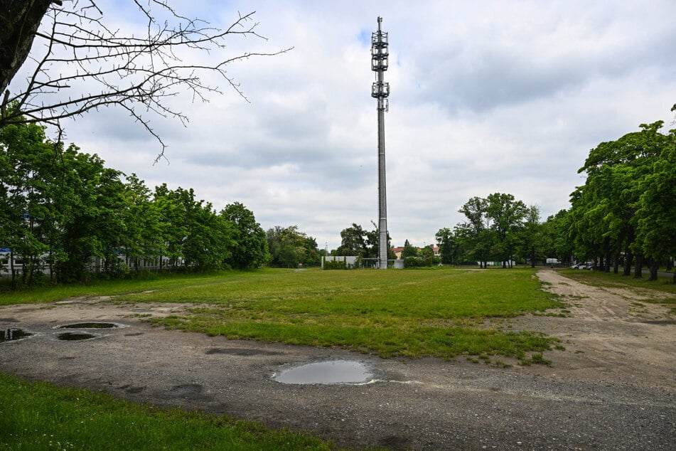 Blick von der künftigen Bühne aufs Gelände: diese Wiese verwandelt sich am 28. Juni in die berühmte Schinkenstraße. Links und rechts werden jeweils 15 Meter lange Bartheken errichtet, am hohen Mast werden leckere Speisen zu finden sein.
