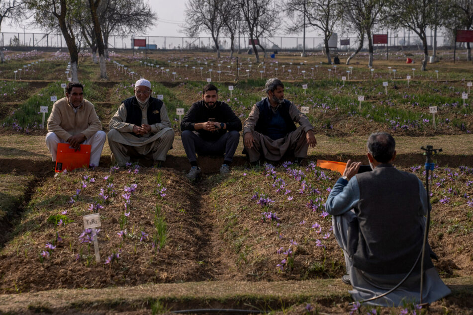 Safranbauern im indisch kontrollierten Kaschmir gehören zu den Millionen von Landwirten, deren Ernte vom Klimawandel bedroht ist.