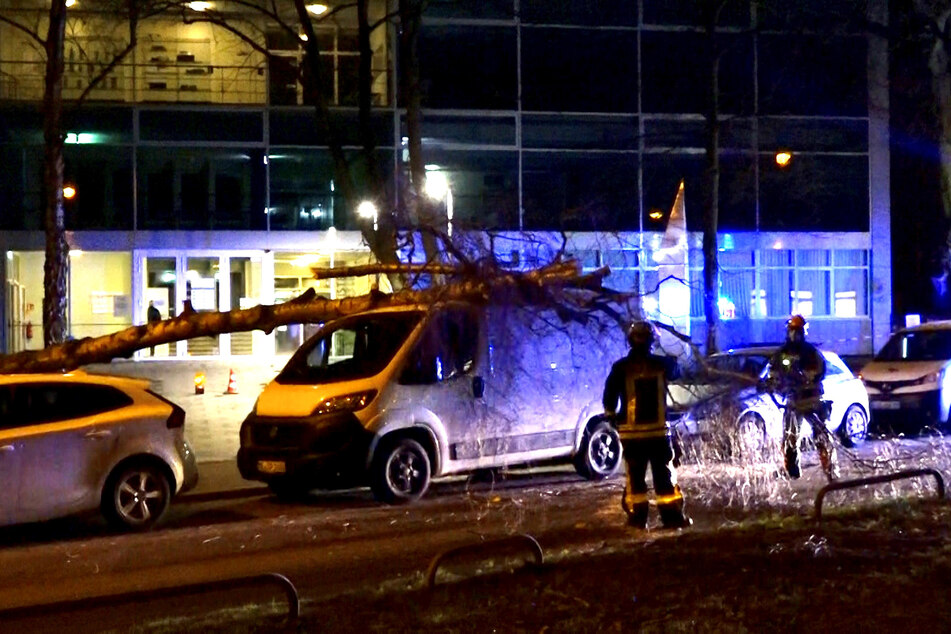 Feuerwehrleute räumen einen umgestürzten Baum in Krefeld weg.