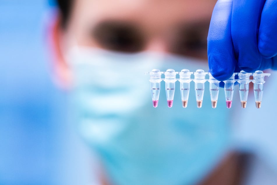 Ein Labor-Mitarbeiter untersucht Proben auf mögliche Coronavirus-Infektionen.