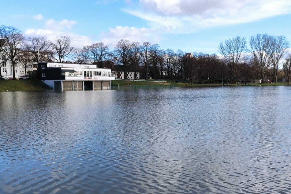 Die Sportanlage Poller Wiesen: Der Rasen wurde im Laufe der letzten Tage durch das Rhein-Hochwasser überflutet.