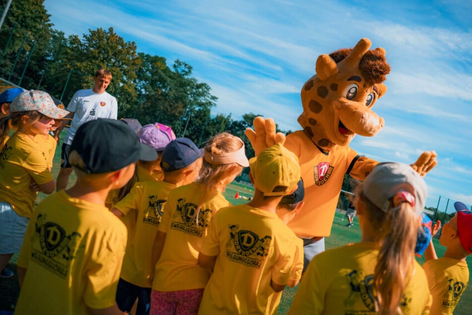Darum ist die Giraffenbande ein Highlight für kleine Dynamo-Fans