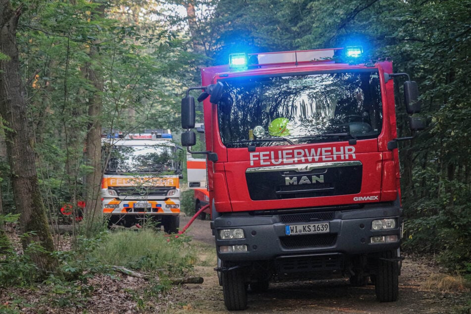 Insgesamt brannte im Frankfurter Stadtwald eine Fläche von rund sieben Hektar.