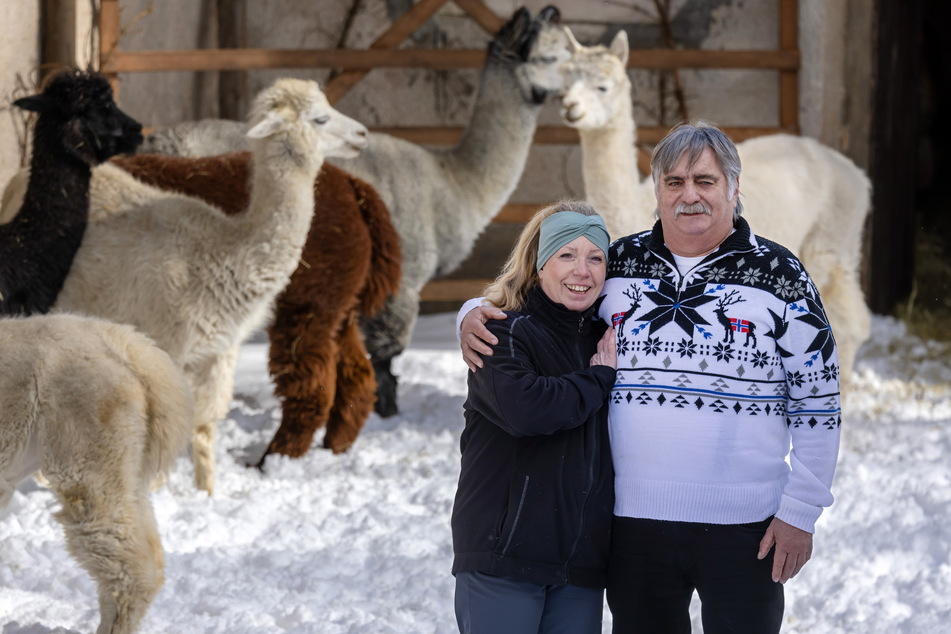 Den Schritt hin zur Alpakazucht haben Romy Schmidt (58) und Fritz-Jürgen Hieke (71) nie bereut.