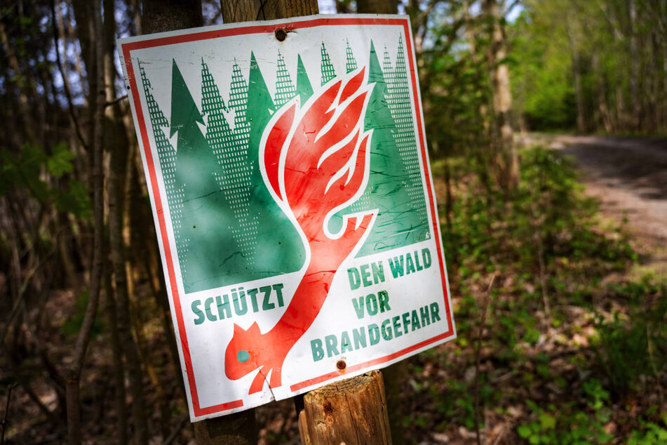 Brandenburg ist das Bundesland mit der höchsten Waldbrandgefährdung. (Symbolfoto)