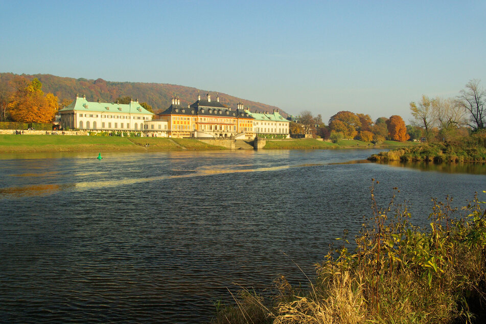 An den Elbwiesen entlang kann man entspannt in Richtung Schloss und Park Pillnitz laufen.