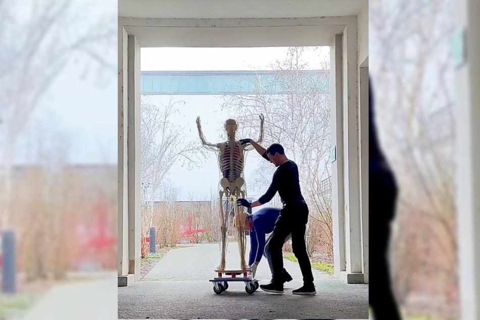 Der Gläserne Mann wird für die "Verpackung" aus dem Depot des Hygienemuseums geholt.